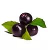 ACAI BOGYÓ